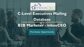 How many C-Level Executives Email Lists are there & Who is providing it?