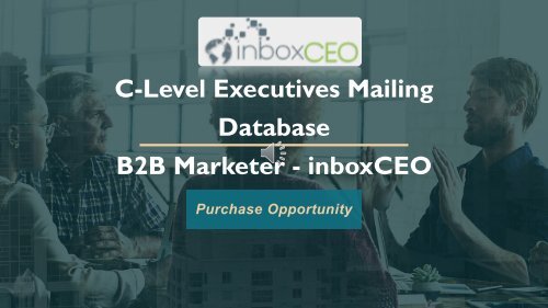 How many C-Level Executives Email Lists are there & Who is providing it?