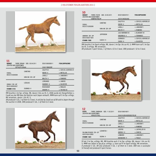 Holsteiner Fohlenauktionen 2011