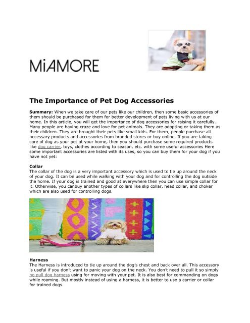 The Importance of Pet Dog Accessories