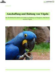 Anschaffung und Haltung von Voegeln