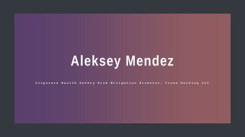 Aleksey D Mendez - Safety Professional From Florida
