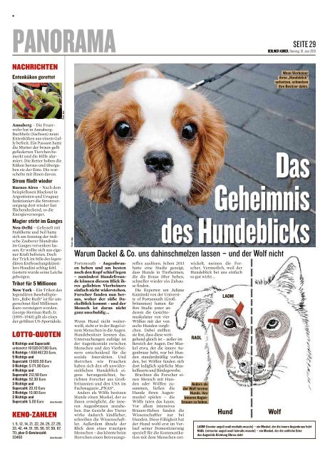 Berliner Kurier 18.06.2019