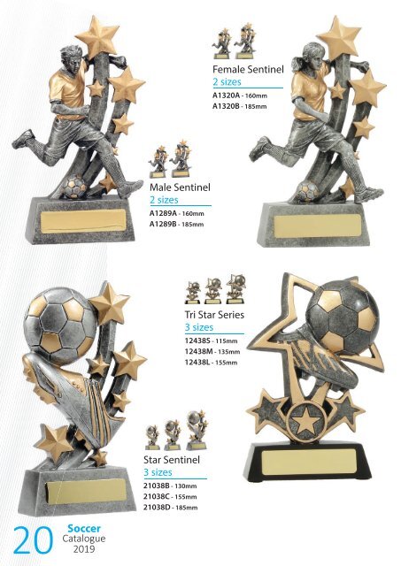 2019 Soccer Trophies for Distinction