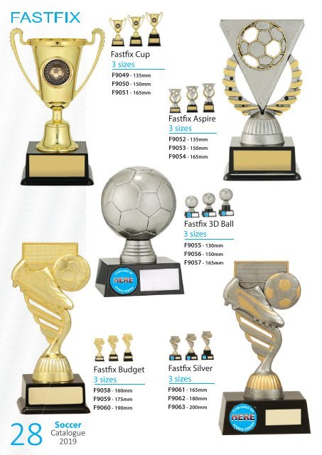 2019 Soccer Trophies for Distinction