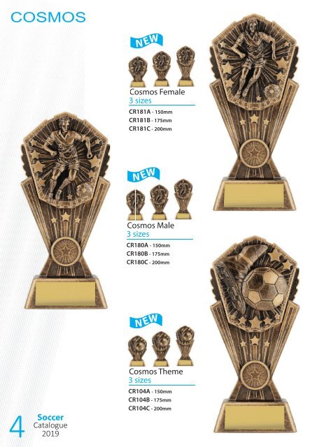2019 Soccer Trophies for Distinction