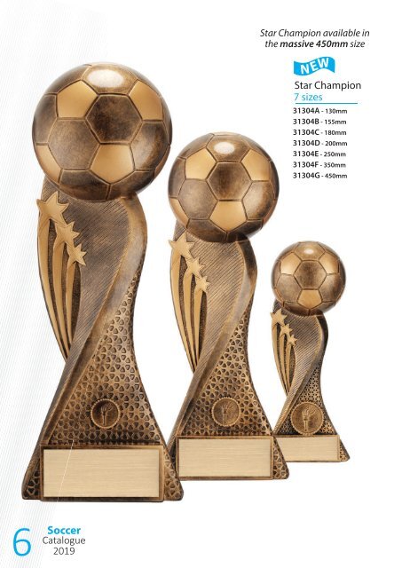 2019 Soccer Trophies for Distinction