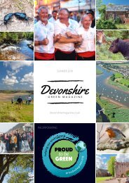 Devonshire ezine June 19