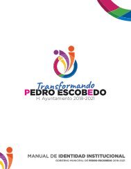 Manual de identidad Pedro Escobedo v1