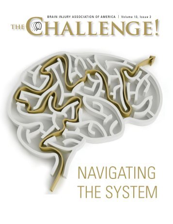 THE Challenge! 2019 Vol. 13 Iss. 2 Navigating the System