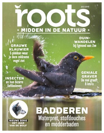 Inkijkexemplaar-Roots-07-2019