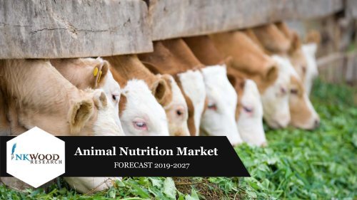 GLOBAL ANIMAL NUTRITION MARKET | TRENDS, ANALYSIS, FORECAST 2019-2027