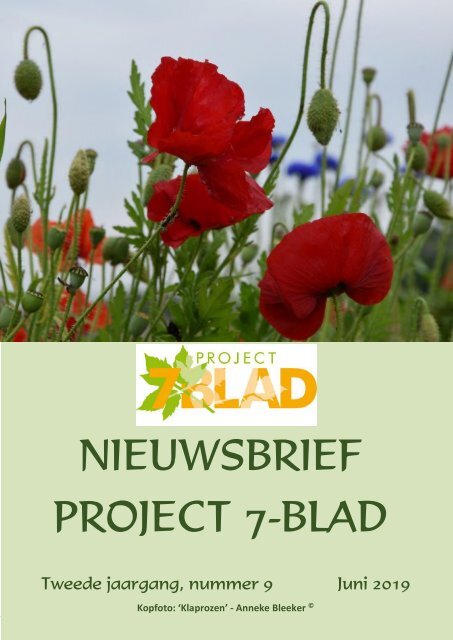 2019.06.01-PROJECT-7-BLAD-NIEUWSBRIEF-09-LV