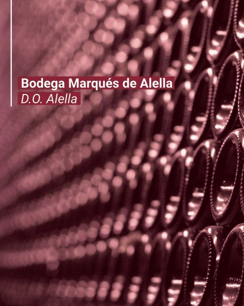 Catálogo Bodegas Arbocala