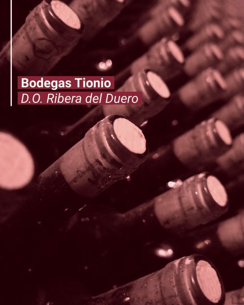 Catálogo Bodegas Arbocala