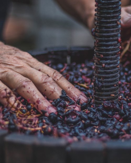 Catálogo Bodegas Arbocala