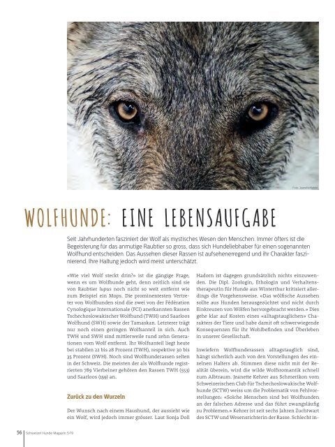 Schweizer Hunde Magazin 5/19
