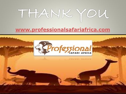 PROFESSIONAL SAFARI AFRICA PROVIDE THE BEST TANZANIA BUDGET CAMPING SAFARI PACKAGES