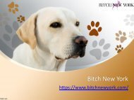 Designer Dog Carriers - Bitch NewYork