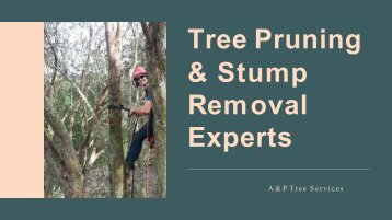 Tree Pruning & Stump Removal Experts - A&P Tree Services