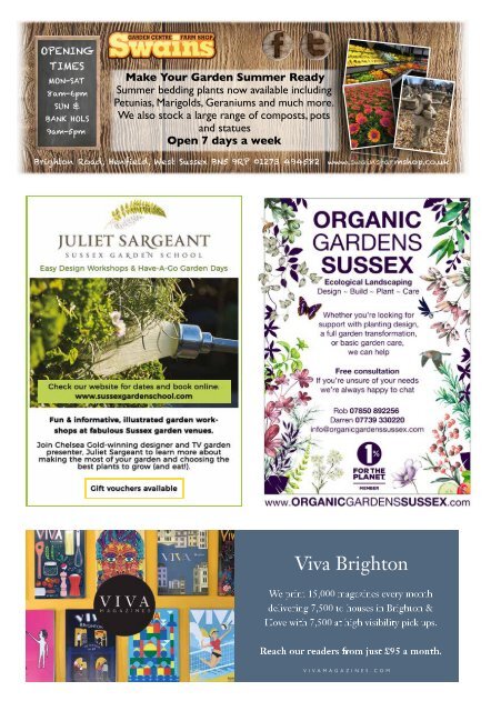 Viva Brighton Issue #77 July 2019