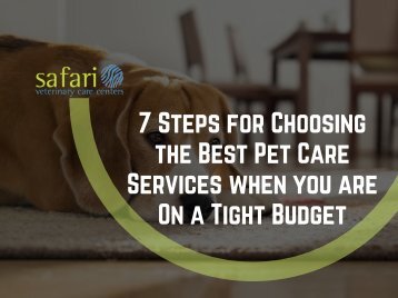 7 Steps for Choosing the Best Pet Care Services when you are On a Tight Budget