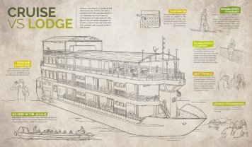 Cruise VS Lodge
