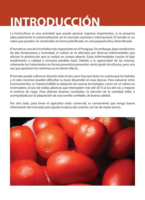 cultivo de tomate