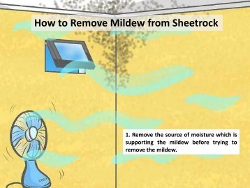 How to Remove Mold &amp; Mildew from Sheetrock