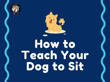 How To Teach Your Dog To Sit