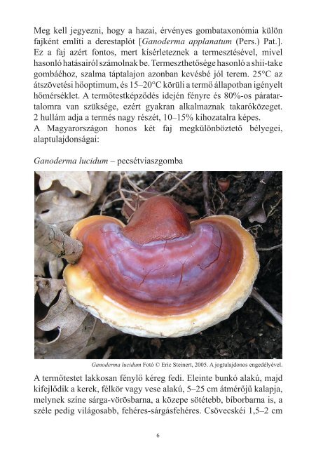 Ganoderma ismertető