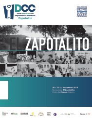 Reporte Final DCC Zapotalito