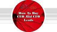 How To Buy CEO And CFO Leads in USA? #How #To #Buy #CEO #CFO #Leads #USA