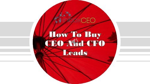 How To Buy CEO And CFO Leads in USA? #How #To #Buy #CEO #CFO #Leads #USA