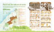 Reservas de vida en el norte