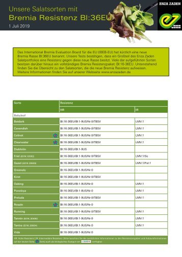 Unsere Salatsorten mit Bremia Resistenz Bl:36EU