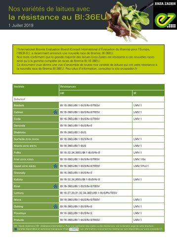 Nos variétés de laitues avec la résistance au Bl:36EU