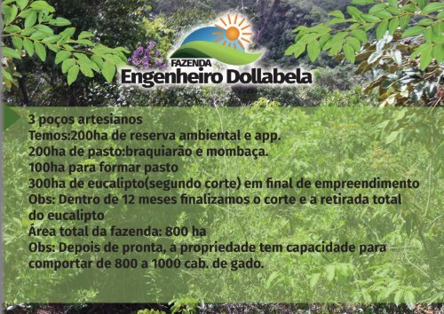 Fazenda Engenheiro Dollabela