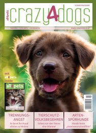 crazy4dogs mit all4pets inside – Sommerausgabe 2019