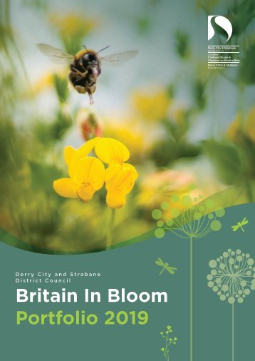DCSDC Britain In Bloom Portfolio 2019