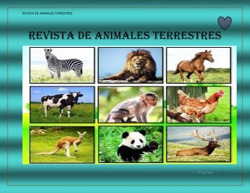 REVISTA DE ANIMALES TERRESTRES