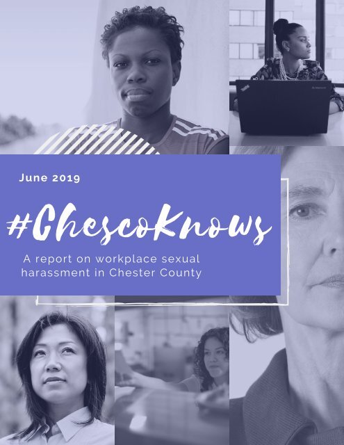 #ChescoKnows: A Report on Workplace Sexual Harassment in Chester County