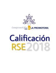 Calificación Anual de Desempeño de Responsabilidad Social Empresarial 2018 y Anexo 2