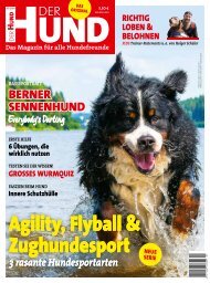 DER HUND: Ausgabe 12/2019