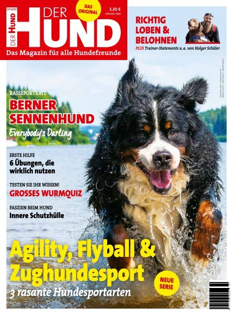 Erste Hilfe für den Hund – Netzwerk für Tiere Köln