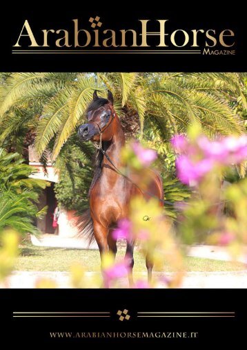 Arabian Horse Magazine | N2_2019