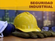 Alejandro Ceballos Jiménez - Seguridad Industrial