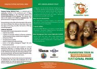 ORANG UTAN BROCHURE OUTSIDE