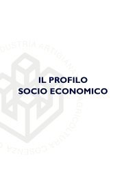 Bilancio di Mandato 2014|2019: Il Profilo socio economico