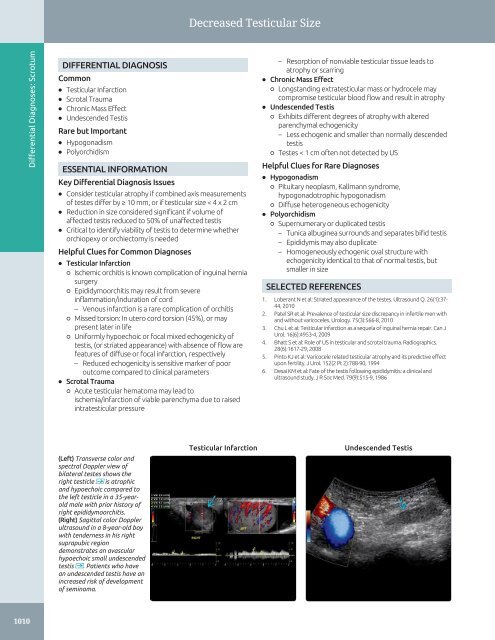 Diagnostic Ultrasound - Abdomen and Pelvis